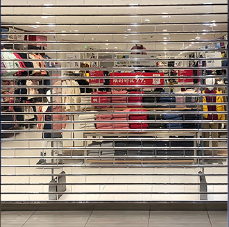 Crystal Roller Shutter Door