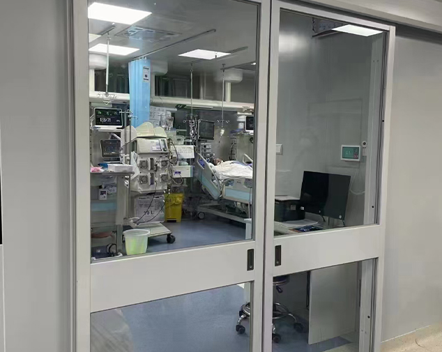 Hospital Door