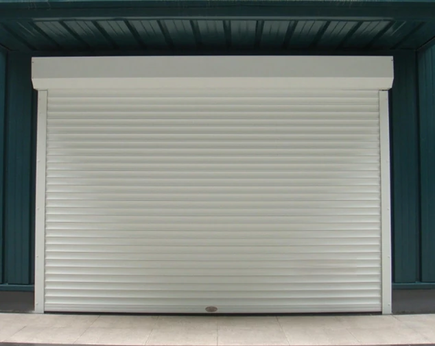Aluminum vs. Stainless Steel Roller Shutter Doors: Which Material Is Right for Your Facility?
